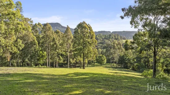 157 Rodney Road, Mount Vincent, NSW 2323