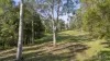 157 Rodney Road, Mount Vincent, NSW 2323-Image
