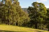 157 Rodney Road, Mount Vincent, NSW 2323-Image