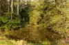157 Rodney Road, Mount Vincent, NSW 2323-Image