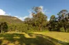 157 Rodney Road, Mount Vincent, NSW 2323-Image