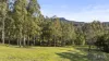 157 Rodney Road, Mount Vincent, NSW 2323-Image
