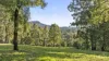 157 Rodney Road, Mount Vincent, NSW 2323-Image