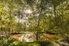 157 Rodney Road, Mount Vincent, NSW 2323-Image