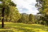 157 Rodney Road, Mount Vincent, NSW 2323-Image