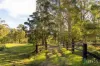 157 Rodney Road, Mount Vincent, NSW 2323-Image