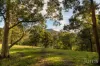 157 Rodney Road, Mount Vincent, NSW 2323-Image