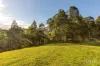 157 Rodney Road, Mount Vincent, NSW 2323-Image
