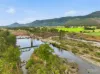 1577A Nowendoc Road, Mount George, NSW 2424-Image