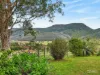 1577A Nowendoc Road, Mount George, NSW 2424-Image