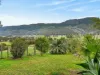 1577A Nowendoc Road, Mount George, NSW 2424-Image