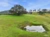 1577A Nowendoc Road, Mount George, NSW 2424-Image