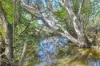 1578 Boonah Rathdowney Road, Coochin QLD 4310-Image