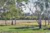 1578 Boonah Rathdowney Road, Coochin QLD 4310-Image