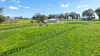 158 Cressfield Road, Scone, NSW 2337-Image