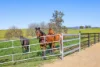 158 Cressfield Road, Scone, NSW 2337-Image