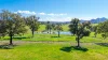 158 Cressfield Road, Scone, NSW 2337-Image