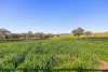 158 Cressfield Road, Scone, NSW 2337-Image