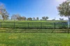 158 Cressfield Road, Scone, NSW 2337-Image