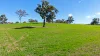158 Cressfield Road, Scone, NSW 2337-Image