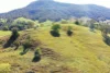 1592 Collins Creek Road, Kyogle, NSW 2474-Image