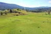 1592 Collins Creek Road, Kyogle, NSW 2474-Image