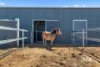 1598 Matheson Road, Tongala, Vic 3621-Image