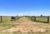1598 Matheson Road, Tongala, Vic 3621-Image