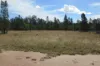 16 Bartels Road, Kogan, Qld 4406-Image