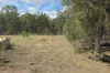 16 Bartels Road, Kogan, Qld 4406-Image