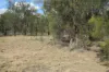 16 Bartels Road, Kogan, Qld 4406-Image