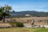 16 Flannerys Road, Wyangala, NSW 2808-Image