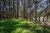16 Flannerys Road, Wyangala, NSW 2808-Image