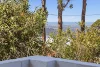 16 Orchis Drive, Tamborine Mountain, Qld 4272-Image