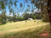 160 Ameys Track, Foster, Vic 3960-Image