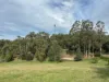 160 Ameys Track, Foster, Vic 3960-Image