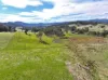 160 Carboor Upper Road, Carboor, Vic 3678-Image