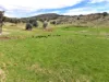 160 Carboor Upper Road, Carboor, Vic 3678-Image