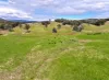 160 Carboor Upper Road, Carboor, Vic 3678-Image