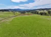160 Carboor Upper Road, Carboor, Vic 3678-Image