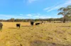 160 Gibsons Lane, Mudgee, NSW 2850-Image