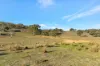 160 Gibsons Lane, Mudgee, NSW 2850-Image