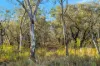 160 Gibsons Lane, Mudgee, NSW 2850-Image