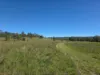 160 Rocky Gully Road, Crows Nest QLD 4355-Image