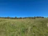 160 Rocky Gully Road, Crows Nest QLD 4355-Image