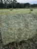 160 Rocky Gully Road, Crows Nest QLD 4355-Image