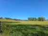 160 Rocky Gully Road, Crows Nest QLD 4355-Image