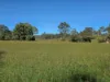 160 Rocky Gully Road, Crows Nest QLD 4355-Image