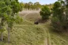 160 Rocky Gully Road, Crows Nest QLD 4355-Image