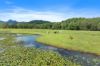 160, Upper Crystal Creek NSW 2484-Image